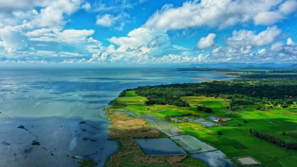 Chilika Lake (Nalabana) landscape