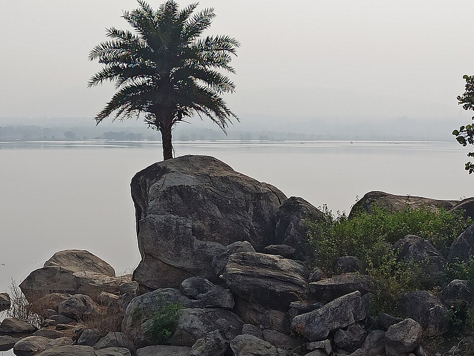Nagi Nakti Bird Sanctuaries landscape