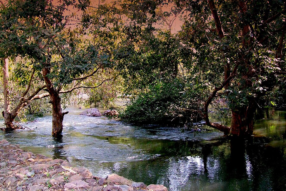 Sitamata Wildlife Sanctuary landscape