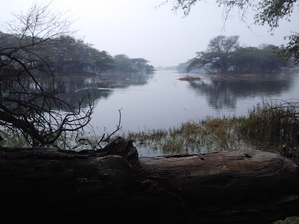 Sultanpur National Park landscape